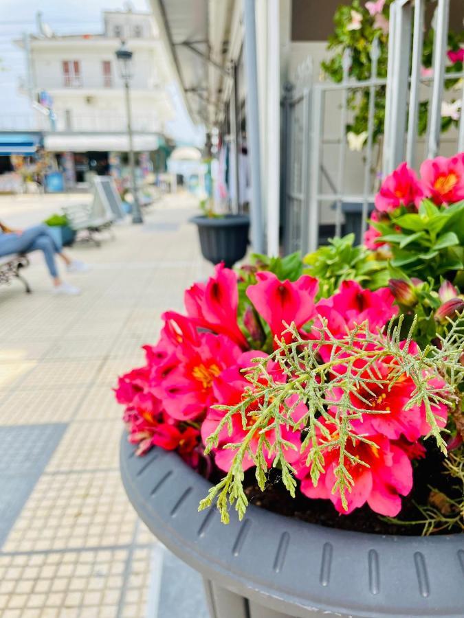 Nisel Seaside Διαμέρισμα Παραλία Εξωτερικό φωτογραφία